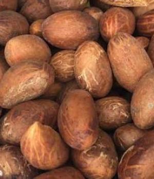 website template image