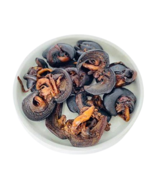 website template image