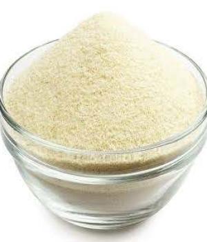 website template image